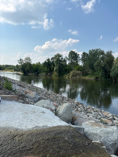 The image displays a wide river flowing through a verdant landscape in Vrnjacka Banja Municipality, Serbia, under a clear blue sky with scattered white cumulus clouds. The river occupies the mid-ground, exhibiting a dark green hue with reflections of the sky and dense deciduous trees lining the far bank. These trees are lush and green, indicating a healthy, forested environment.
In the foreground and along the near bank, a man-made embankment is constructed from numerous large, angular grey and brown boulders and smaller rocks, forming a barrier or pathway along the water's edge. Sparse green vegetation grows between some of these rocks. On this rocky embankment, approximately in the middle distance, a single individual stands. The person is wearing a light-colored short-sleeved top and light-colored shorts, and appears to be looking towards the river or the opposite bank. Their right hand is holding an indiscernible object.
The immediate foreground features a large, flat, light-colored surface, possibly concrete or compacted gravel, which transitions into a darker, possibly wet or soiled area at its lowest edge. The scene is illuminated by bright daylight, casting visible shadows and highlighting textures on the rocks and water.