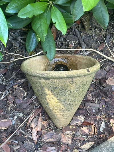 An overhead shot shows a weathered, conical terracotta pot filled with dark, murky water. The pot is placed in a garden setting, surrounded by dark brown mulch, dry leaves, and a few green leaves from an overhanging plant. The mulch consists of bark chips and small twigs. A thin, dry branch runs horizontally across the frame, passing behind the pot. The scene appears to be in a garden in Günzburg, Germany, likely a residential or public outdoor space. There are no people or animals visible in the image.