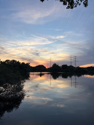 This image captures a serene sunset scene at the Silbersee in Ludwigshafen am Rhein, Germany. The sky displays a beautiful gradient of colors, transitioning from soft blues and whites with wispy clouds at the top to warm oranges and yellows closer to the horizon, indicating the sun has recently set or is about to set. Silhouetted against this vibrant sky are numerous trees forming a dense line along the far bank of the lake. Prominently visible are several large electricity pylons with their associated power lines stretching across the frame, some of which are reflected in the calm water. The lake itself is dark and still, mirroring the sky, trees, and pylons, creating a symmetrical visual effect. In the foreground on the left, the dark silhouette of tree branches overhangs the water, their reflection also visible. The overall atmosphere is peaceful and natural, with the industrial element of the power lines adding a contrast to the organic landscape. There are no people or animals visible in the image.