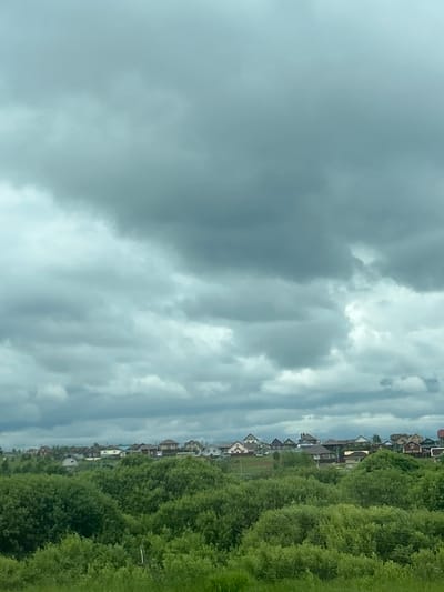 This image depicts an overcast landscape in Yus'ki, Russia. The upper two-thirds of the frame are dominated by a heavily clouded sky, featuring various shades of grey and bluish-grey clouds. Below the cloud line, a line of scattered residential houses is visible, extending across the midground. These houses exhibit diverse architectural styles, with varying roof colors including red, brown, and dark grey. They are primarily one to two-story structures, interspersed with what appears to be sparse vegetation or undeveloped lots between them. The foreground, occupying the lower half of the image, is filled with dense, lush green deciduous foliage, forming an undulating terrain of trees and bushes. No people or specific actions are discernible within the scene. The overall impression is one of a suburban or rural residential area under a heavily clouded sky, with abundant natural growth in the foreground.