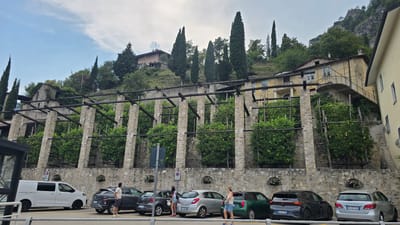 The image captures a view of a terraced garden with lemon trees in Limone sul Garda, Italy. In the foreground, several cars are parked, including a white van, a dark grey SUV, a silver hatchback, and a dark blue hatchback. To the left, a glass-enclosed structure partially obscures the scene. Three individuals are visible near the cars. One person, a man wearing a white t-shirt and shorts, stands facing away from the camera, looking towards the garden. Two women are also present, one wearing a white top and shorts, and the other a white tank top and denim shorts.

The middle ground features a stone wall supporting a series of terraced lemon groves. These groves are characterized by rows of lush green trees with visible yellow lemons, supported by wooden trellises and stone pillars. The pergola-like structure above the lemon trees is made of stone pillars and dark wooden beams.

In the background, a hillside is covered with trees and buildings. A two-story yellow building with balconies and shutters is perched on the slope, accessible by an outdoor staircase. Above this, more houses are nestled into the hillside, with dense green trees and cypress trees dominating the upper slopes. The sky is overcast, with patches of light suggesting a cloudy day. The overall impression is a well-maintained historical garden setting on a steep incline in a lakeside town.