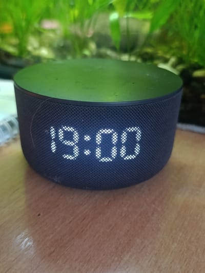 This is a close-up, eye-level shot of a dark, cylindrical smart speaker with a green top, positioned on a wooden surface. The speaker displays the time "19:00" in bright white LED dots. The background is blurred, showing lush green foliage, likely from an aquarium, with some pebbles and aquatic plants visible. The lighting suggests it is either late afternoon or early evening, given the displayed time. The image has a shallow depth of field, with the speaker in sharp focus and the background softly blurred, drawing attention to the device and the time it is showing. A single strand of light-colored hair rests on the speaker's mesh fabric. The wooden surface appears worn with a visible grain and some light reflections, suggesting a domestic or office setting. The location context is Yenakiieve, Ukraine.