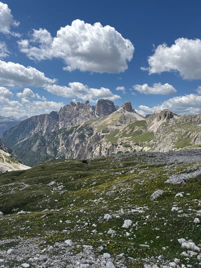 The image depicts a panoramic view of the Dolomites mountain range, specifically the Tre Cime di Lavaredo area near Toblach - Dobbiaco, Italy. The foreground is a rocky, grassy slope dotted with small yellow wildflowers. A winding, unpaved trail is visible in the mid-ground, leading up the slope. Further back, the imposing peaks of the Tre Cime rise dramatically, with their distinctive jagged formations and steep rock faces. The mountains are a mix of light grey and tan rock, with patches of green vegetation clinging to the lower slopes. The background consists of more distant mountain ranges and a bright blue sky filled with fluffy white cumulus clouds. The scene is bathed in natural daylight, suggesting it was taken during the day. There are no people or man-made structures visible in the image.