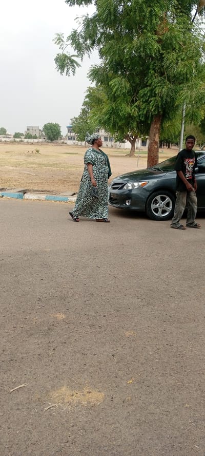 In Goron Dutse, Nigeria, the scene captures a street with a gray Toyota Corolla parked alongside a tree. A woman dressed in a patterned green and black garment, with matching headwear and carrying a black purse, is walking past the car. To the right, a young man in a black t-shirt and jeans stands near the vehicle. The background includes a grassy field and buildings in the distance. The weather appears overcast.