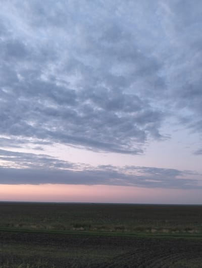 The image depicts a wide, flat landscape under a cloudy sky, likely at dawn or dusk, given the soft hues of pink and pale purple along the horizon. The foreground is an agricultural field, with areas of tilled earth showing distinct rows, and patches of green vegetation. A narrow band of grass separates this field from a larger expanse of dark, cultivated land stretching towards the horizon. The sky is filled with dense, textured clouds in shades of grey and white, with hints of blue visible through breaks. The horizon line is sharp and clear, with no prominent structures or features except for what appear to be distant lights on the far horizon. The scene is devoid of any people or animals. The location is described as a field in the city of Titov, Kazakhstan.