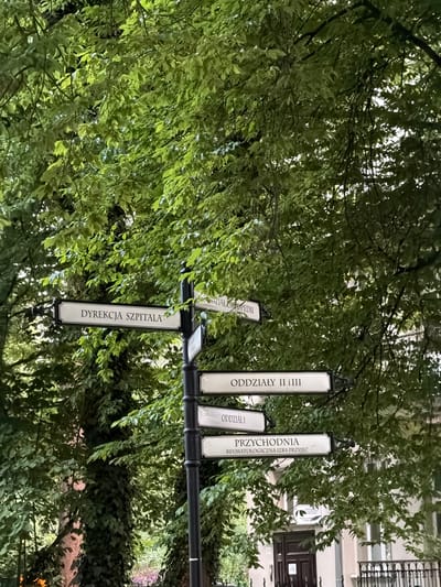 The image shows a street signpost in Sopot, Poland, with multiple signs in Polish indicating directions within a hospital complex. The signs are white with black lettering and are mounted on a black pole. The signpost is surrounded by lush green trees, and a building with a dark brown door is visible in the background.
The signs read:
* **DYREKCJA SZPITALA** (Hospital Directorate)
* **DZIAL ORTOPEDII** (Orthopedics Department)
* **ODDZIAŁY II i IIII** (Wards II and IV)
* **ODDZIAŁ I** (Ward I)
* **PRZYCHODNIA** (Outpatient Clinic)
* **REUMATOLOGICZNA IZBA PRZYJĘĆ** (Rheumatology Admissions Room)
The image appears to have been taken during the daytime, with soft natural light filtering through the leaves of the trees. There are no people visible in the image. The overall scene suggests a functional and somewhat traditional hospital environment.