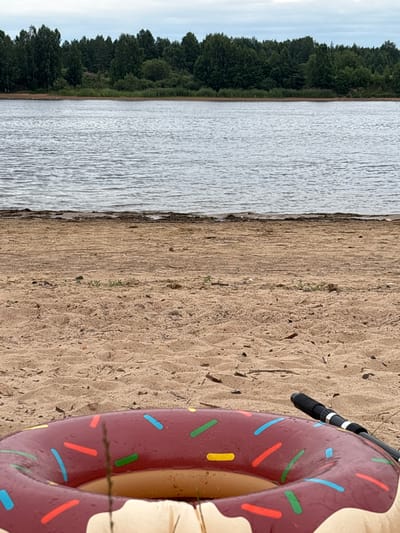 In Nevskaya Dubrovka, Russia, a donut-shaped inflatable ring lies on a sandy beach beside a body of water. The ring is primarily dark red with multi-colored sprinkles. A black object, possibly a fishing rod handle, is positioned to the right of the ring. The water appears calm, with a line of trees visible in the distance across the water. The sky is overcast.