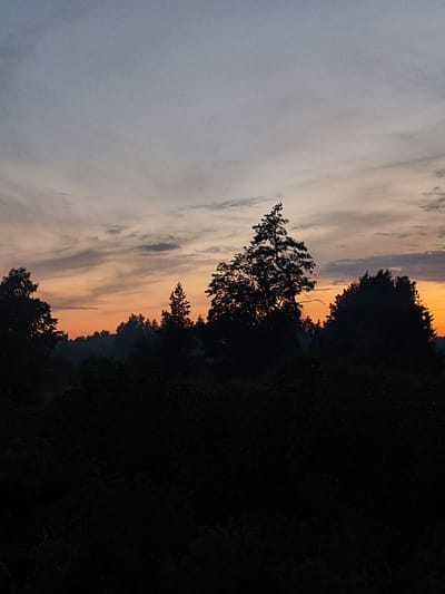 This media file depicts a tranquil sunset scene over a forested area in Apšuciems, Latvia. The image is dominated by a gradient sky, transitioning from a pale, cool blue at the top to warm hues of orange and peach near the horizon. Wispy clouds are scattered across the sky, catching the last rays of the setting sun and adding depth and texture to the scene.

In the foreground, a dense silhouette of trees creates a dark, almost black, contrast against the vibrant sky. These trees are varied in shape and height, with some appearing as bushy undergrowth and others as tall, slender conifers, including a prominent, spire-like pine tree that stands out against the colorful sky. The overall impression is one of nature's quiet beauty at the end of the day.

The time of day is clearly sunset, indicated by the warm, diffused light and the colors in the sky. The weather appears calm, with no strong winds suggested by the cloud formations or the stillness of the trees. The location cues are specific to Apšuciems, Latvia, giving a geographical context to the natural landscape. There is no visible text in the image. The overall emotion evoked by the image is one of peace and serenity, a moment of natural splendor before nightfall.