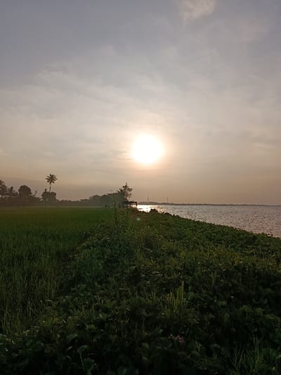 The image shows a landscape scene in Arjasa, Indonesia, taken from the perspective of someone standing on a grassy embankment overlooking a body of water. The sun is shining brightly in the sky, casting a warm glow over the scene. The water is calm and reflects the light of the sun.  The embankment is covered in lush green vegetation, with some small trees and bushes scattered throughout. In the distance, the water meets the horizon, where there is a line of trees and buildings. The sky is clear and blue, with a few white clouds scattered throughout. There are no people visible in the image.