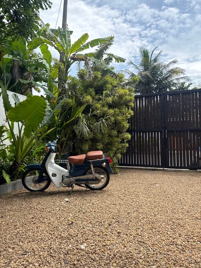 The image depicts a blue and white moped parked on a gravel surface next to lush tropical vegetation in Denuwala, Sri Lanka. The vegetation includes banana trees and various leafy plants. Behind the moped and vegetation is a dark wooden fence. The sky is visible above, with scattered clouds. A palm tree is positioned between the fence and the sky. The image is rotated 90 degrees counter-clockwise.