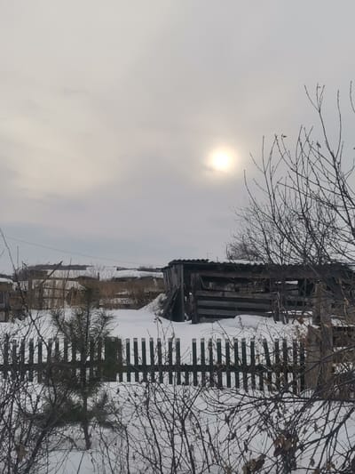 The image depicts a snow-covered winter landscape in Старая Преображенка, Russia. The sky is overcast and light gray, with a bright, diffuse sun visible slightly right of the frame's vertical center. The ground is uniformly covered in white snow. In the immediate foreground, numerous bare deciduous branches and twigs partially obscure the scene. A dark-colored wooden picket fence, composed of vertical slats, runs horizontally across the mid-ground. To the left of the fence's center, a small evergreen sapling stands in the snow. Behind the fence, to the right, is a dilapidated wooden outbuilding or shed with horizontal plank siding, some planks visibly missing or broken, and a dark, corrugated sloped roof lightly covered with snow. Further to the left and rear, another weathered wooden fence and additional snow-covered terrain are visible. The background shows a distant, snow-covered horizon line with sparse, bare vegetation, and faint overhead utility lines are present against the sky on the upper left. No individuals or active interactions are depicted.