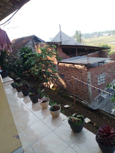 The image depicts an outdoor scene, likely a balcony or patio, with a view overlooking a residential area. In the foreground, a tiled floor is visible, with several potted plants arranged along the edge. These plants vary in size and type, with some in dark plastic pots and others in lighter-colored ceramic pots. One particularly striking plant in a dark pot at the bottom right features deep red, succulent-like leaves.

Beyond the balcony, the scene opens up to reveal a collection of buildings constructed with red brick. Some of these structures appear to be unfinished or under construction, with exposed wooden beams and corrugated metal roofing. A prominent feature is a house with a traditional tiled roof and an unfinished white-tiled apex. A clothesline with blue ribbons strung between bamboo poles is also visible.

Further in the background, the landscape transitions into terraced rice fields, suggesting a rural or semi-rural setting in Sukamanah, Indonesia. The fields are a light green, indicating they are either growing or have recently been harvested. In the distance, more houses and trees dot the rolling hills, all under a bright, overcast sky.

The lighting suggests it is daytime, possibly morning or late afternoon, given the soft light and shadows. There is no visible text in the image. The overall impression is one of a lived-in, somewhat rustic environment, with a blend of residential construction and natural landscape.
