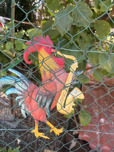 This media file shows a colorful metal rooster decoration hanging on a chain-link fence. The rooster is depicted with red, yellow, orange, blue, and black colors, and it appears to be in a playful or celebratory pose, possibly with musical instruments, suggested by yellow, horn-like shapes near its head. The rooster's body is detailed with painted feathers and textures.

The background is filled with lush green foliage, suggesting an outdoor setting, likely a garden or yard. The fence is made of green-coated metal wire, with some rust visible on the ties. Sunlight filters through the leaves, creating dappled light and shadows, indicating it is daytime. The overall impression is a charming, whimsical garden decoration. There is no visible text in the image. The location context provided is Coteaux du Lizon, France.