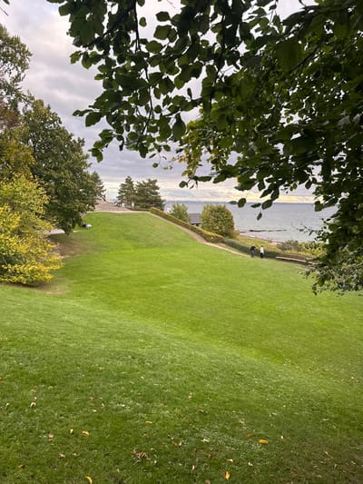 The image depicts a sloped park landscape in Humlebæk, Denmark, under an overcast sky. The immediate foreground is partially obscured by dark green foliage from an overhead tree. A large, manicured green lawn occupies the midground, sloping from the lower left towards the upper right, and featuring scattered dry leaves.
On the left side of the midground, a paved path runs alongside the lawn, bordered by various trees, including one with prominent yellow leaves. Two individuals are seated on the grass near this path. Further left and slightly elevated, a visible set of wide steps ascends, with multiple small figures, identifiable as people, distributed along them.
On the right side of the midground, another paved path follows the curve of the terrain. Two individuals are walking together on this path, moving towards the background. Beyond this path, a body of water, the Øresund, stretches to the horizon under a muted sky. Several small vessels are visible on the water's surface. Near the water's edge on the right, a small building with a dark roof is partially visible amidst trees. The overall environment presents a combination of cultivated parkland and natural coastline.