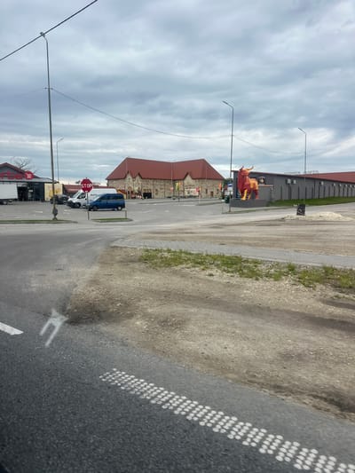 The image depicts a street scene in Velykyi Khodachkiv, Ukraine. In the background, there is a commercial building with a large, three-dimensional sculpture of a bull affixed to its facade. There is a "STOP" sign visible near several parked vans. A series of buildings with red rooftops are situated further down the street. The foreground shows an asphalt road with painted road markings, including dashed lines and directional arrows. The sky is overcast.