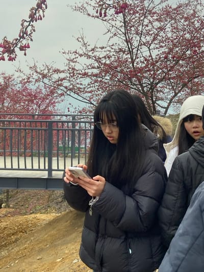 Two people stand beside a fence in front of blooming trees. The person closest to the camera looks down at a phone, wearing glasses and a black puffer jacket. Their long dark hair falls over their shoulders. Beside them, another person wears a white hat and a dark puffer jacket. The background features a gray sky and the delicate pink blossoms of the trees, contrasting with the earth tones of the ground. The metal fence separates the foreground from the blurred background.