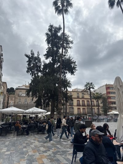 An outdoor public plaza, identified as being in Barriada De Villalba, Spain, is depicted under an overcast, gray sky. The ground is paved with large, patterned gray and brown tiles. In the foreground, a man wearing a dark cap, glasses, and a dark jacket sits at a table, looking right. To the left and extending into the midground, multiple outdoor cafe seating areas are visible, featuring dark tables and chairs arranged under white, retracted umbrellas. Several individuals are seated at these tables. Numerous other people are present in the midground, walking across the tiled plaza. A woman in a dark jacket and blue jeans walks left, while several individuals, predominantly men in casual attire, walk right.
Dominating the center-left view are a very tall, slender palm tree and a large, bushy conifer-like tree with dark green foliage. Other palm trees are visible further back on the right. In the background, multi-story buildings frame the plaza. On the far left, a light-colored building is partially visible. Centrally, an aged, light-colored building with multiple windows and balconies stands, displaying a white banner or sheet from an upper window. To its right, another multi-story building with a yellowish-cream facade and dark red balconies is prominent. Further right, a building with a red facade is partially visible. A vegetated hillside is discernible in the upper-left background.