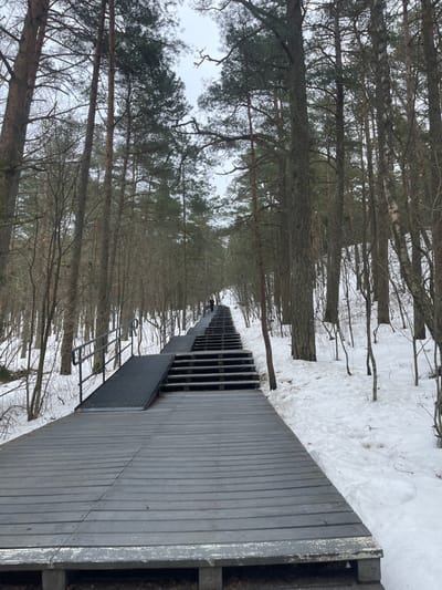 This image presents a long, multi-segment wooden stairway and ramp system ascending a snow-covered, densely forested slope in Morskoe, Russia. The structure is constructed from dark grey planks. In the foreground, a flat wooden walkway extends, transitioning into a series of stairs on the right and an adjacent, grooved ramp with black metal handrails on the left. The ramp and stairs ascend in multiple stages, receding into the distance. One individual, dressed in dark attire, is observed in the upper midground, ascending the distant portion of the stairs. The surrounding environment consists of a dense forest dominated by tall pine trees and some leafless deciduous trees. The ground on either side of the walkway and stairs is covered in patchy snow, revealing areas of bare earth and leaf litter. The sky above, visible through the tree canopy, is overcast.