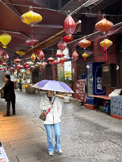 The image depicts a stone-paved commercial street in Pengshui Miao and Tujia Autonomous County, China, during daylight hours under overcast conditions with precipitation.
Numerous colorful traditional Chinese lanterns of various shapes (oval, round, elongated) and colors (yellow, red, orange, pink, purple) are suspended on strings overhead, forming a dense canopy across the street. These lanterns feature intricate patterns and some include red tassels. Brown awnings extend from the buildings on both sides of the street, positioned below the suspended lanterns.
In the immediate foreground, slightly right of center, a person, likely female, walks towards the camera, facing slightly left. She holds a purple umbrella with a white floral pattern open above her head. She wears a white hooded jacket, light blue jeans, and silver-colored shoes. A brown leather shoulder bag is slung over her right shoulder, and a white lanyard with an ID-like card hangs from her neck. Her face is mostly obscured by the umbrella.
To the left, a male figure is seen from behind, walking away from the camera. He wears a dark jacket and trousers and carries a dark object, possibly a coat or bag, over his left arm. Further down the street on the left, indistinct figures and market stalls displaying various goods are visible. A large, light-colored ceramic pot or urn is positioned near one of these stalls.
The street surface is paved with grey stone slabs and appears wet, covered with numerous small, white, granular specks, consistent with hail or heavy rainfall.
On the right side of the street, traditional buildings with dark wooden features and reddish-brown walls are visible. A blue vertical refrigerator/cooler with white Chinese characters (partially visible, including "永动") stands against a wall, next to a darker, possibly metallic, cabinet. A table covered with a blue and white patterned cloth is positioned in the foreground on the right. Red and white banners with Chinese characters hang from the building facade. A white security camera is mounted on the wall above the table. A potted plant is visible near a decorative white wall panel in the midground on the right.