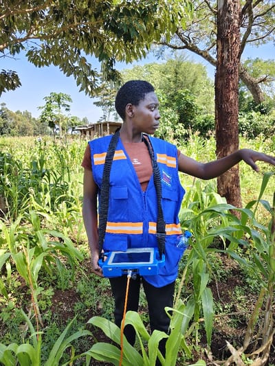 In Kaplerartet ward, Kenya, an outdoor scene depicts an adult female standing in a field primarily composed of young maize plants. The individual, with dark skin and short dark hair, wears a blue utility vest with horizontal orange reflective stripes, layered over a brown t-shirt and black trousers. The vest displays "SANGO BINGO" and "CHANNEL" markings. A blue electronic device featuring a screen is suspended from her neck via a black strap, and an orange cable extends downward from its base. Her left arm is extended forward and slightly to the right, with her fingers slightly open, gesturing towards the maize plants. Her gaze is directed to the right, beyond the frame. A clear plastic water bottle is secured in a pocket on the right side of her vest. To her immediate right stands a tree with rough, textured bark. Overhead, a dense canopy of green leaves from another tree provides partial shade. The background features a continuous field of maize, interspersed with various trees and distant, rudimentary structures. The ground between the plants shows dark soil and some low-lying green vegetation. The scene is illuminated by clear daylight.