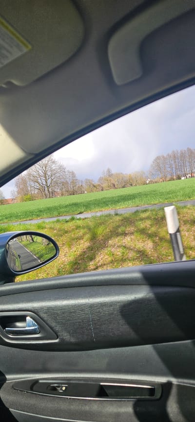 The image shows a view from inside a car, likely on a road in or near Rietberg, Germany. The car door is visible on the right side of the frame, including the handle, window controls, and a portion of the side mirror. Outside the car, a green field or meadow stretches along a road. A row of trees lines the field, some still bare, suggesting it may be early spring. The sky is overcast. In the side mirror, a road with other vehicles can be seen. The scene captures a roadside landscape viewed from the interior of a vehicle.