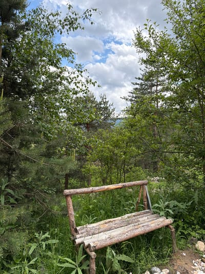 The image captures a rustic wooden bench situated within a dense forested area in Цигов чарк, Bulgaria. The bench, constructed from rough, unhewn logs and branches, is angled towards the lower right foreground, resting on a grassy incline. Dominant vegetation includes dark green coniferous trees, likely pines, on the left and in the background, and a deciduous tree with lighter green leaves visible in the upper center. The ground is covered with lush green grass and various undergrowth, with some small purple flowers visible on the right side. A patch of exposed earth and scattered small, light-colored rocks is present in the lower right foreground. The upper portion of the frame shows a partially cloudy sky with patches of blue and white cumulus clouds visible through gaps in the tree canopy. No individuals or animate subjects are present.