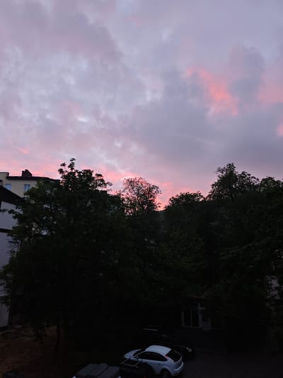 The image depicts a cityscape at dusk, likely in Urozhaynyi, Russia, although specific identifiers are absent. The sky is filled with pink and gray clouds. A row of trees obscures much of the midground, with some building facades visible behind the tree line. Several parked cars are visible in the foreground. The overall illumination is low. No people are visible.