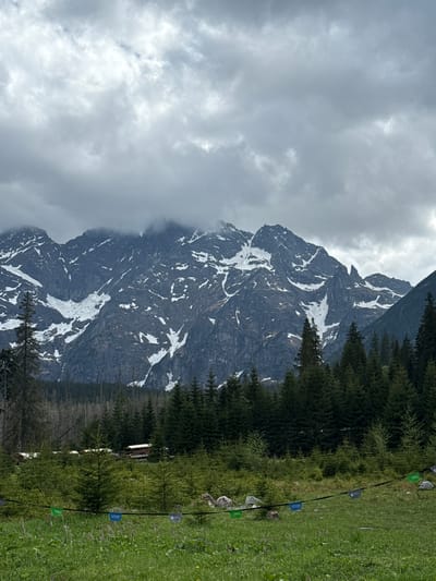 The image shows a mountain landscape in Brzegi, Poland. A tall, rugged mountain with snow patches is partially obscured by clouds on its left side. The right side of the image features a dense forest of evergreen trees, transitioning into a grassy field. A black rope with small, colored markers (green "TPN" and blue "STOP") stretches along the edge of the forest and field. In the background, nestled among the trees, is a glimpse of a small structure.