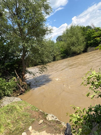 A view from a bank overlooking a muddy river. Trees line the left side of the image and the sky with scattered clouds is visible in the upper left corner. In the upper right corner, foliage hangs over the edge, obscuring the river. A black shoe rests on the bank in the top right corner. The exact location is Umarevtsi, Bulgaria.