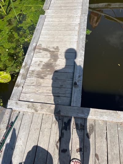 The image shows a wooden dock extending over dark water filled with green algae. A person's reflection, wearing red shorts, is visible in the water. The dock is made of weathered gray wooden planks. A large shadow of a person is cast across the dock, obscuring some of the details of the wood. In the bottom right corner, a green fishing rod rests on the dock. The scene suggests a sunny day, likely late morning or early afternoon, given the strong shadows. The water and abundant algae indicate a natural, possibly rural, outdoor setting. The overall impression is one of a tranquil, recreational moment by the water.