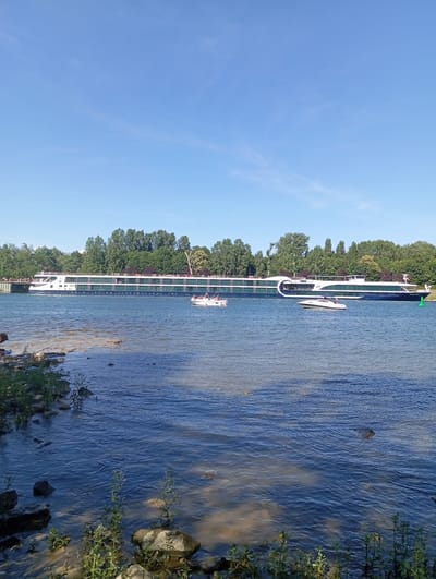The image depicts a serene scene on the Rhine River in Vogelgrun, France, on a clear, sunny day. In the foreground, the river's surface is rippled, with the sandy bottom visible in shallower areas near the bank. Rocks and green foliage line the water's edge.
Dominating the mid-ground is a large, modern cruise ship, its sleek white and dark blue exterior reflecting the sunlight. The ship appears to be in motion. To its right, a smaller, white motorboat with two people onboard navigates the river. Further to the right, a green buoy marks a channel.
The background features a dense line of lush green trees that form a natural barrier along the riverbank. The sky above is a clear, bright blue, with a few wispy clouds. On the far left of the image, a person is visible on the bank, seemingly engaged in fishing, with fishing rods set up. The overall atmosphere is tranquil and picturesque, showcasing a common sight on the Rhine River during pleasant weather.