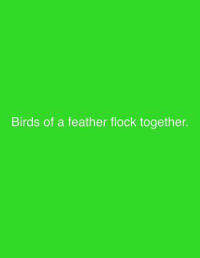 The image is a bright green background with white text that reads "Birds of a feather flock together." The text is centered horizontally and located in the lower third of the image. There is no discernible location in Smyadovo, Bulgaria, or any other specific environmental details present in the image.