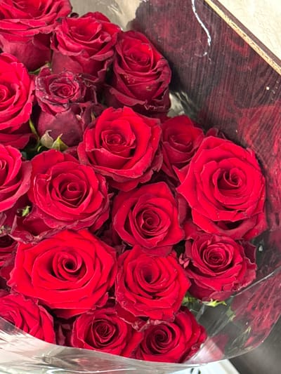 A close-up, overhead shot shows a bouquet of vibrant red roses, possibly a gift or decoration. The roses are in various stages of bloom, with some tightly furled and others opening to reveal their intricate petal structure. The deep red hue of the petals is rich and velvety, with some showing subtle variations in shade. The flowers are arranged closely together, creating a lush and abundant visual. The bouquet appears to be wrapped in clear cellophane, which reflects the light and adds a glossy sheen. Some of the lower roses show signs of wilting or browning at the edges, suggesting the bouquet may have been displayed for some time.

The background is dark and out of focus, with a hint of a textured surface, possibly wood or a dark fabric, visible in the upper left corner. This dark background makes the bright red roses stand out prominently. The lighting is soft and diffused, casting gentle shadows and highlighting the textures of the petals. There are no people visible in the image. The overall impression is one of natural beauty and romantic sentiment, typical of a rose bouquet. The image is likely taken indoors, possibly in a home or a flower shop, given the controlled lighting and the presence of wrapping material. The exact time of day and weather conditions are not discernible. There is no visible text in the image.