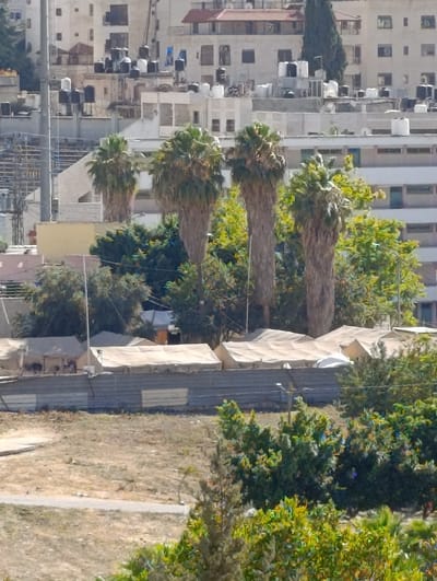 The image depicts an outdoor scene in Nablus, Palestinian Territories. In the foreground, there is dry, patchy vegetation with a path running through it. Behind this, a row of tents covered with light-colored fabric is visible. These tents appear to be set up in a temporary camp or settlement. A metal fence separates the tents from the foreground area.
Beyond the tents, several tall palm trees stand out against a backdrop of urban buildings. The buildings are of varying heights and architectural styles, with many having flat roofs topped with water tanks, a common feature in the region. Some buildings appear residential or office complexes, while others suggest more industrial or institutional use. The overall impression of the setting is one of a densely populated urban environment with signs of temporary living arrangements.
The lighting suggests it is daytime, likely late morning or afternoon, given the clear visibility and the way light falls on the scene. The weather appears to be clear and sunny. There are no people clearly visible in the image, but the presence of tents implies human habitation. The scene conveys a sense of an occupied or displaced community, given the temporary nature of the tents and their placement within or near a city. There is no visible text in the image.