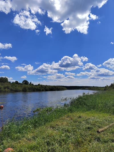 The image depicts a serene natural scene of a wide river flowing through a lush green landscape under a bright blue sky dotted with fluffy white clouds. The foreground is dominated by tall, vibrant green grass on the riverbank, with some patches of cut grass and a fallen log suggesting recent activity. The river itself is calm, with ripples on its surface, and scattered aquatic plants. On the left side of the river, a red buoy on a pole is partially visible.
The middle ground features the river stretching out towards a densely wooded bank on the opposite side, with trees forming a green horizon. The trees on the left side are closer and more varied in height, while the opposite bank appears more uniform. The sky above is a brilliant blue, filled with numerous cumulus clouds, indicating fair weather.
The setting is a riverbank in Byerazino, Belarus. The time of day appears to be midday or early afternoon, given the bright sunlight casting clear shadows and illuminating the scene. The overall mood is peaceful and tranquil, evoking a sense of nature's beauty and a quiet day. There is no visible text in the image.