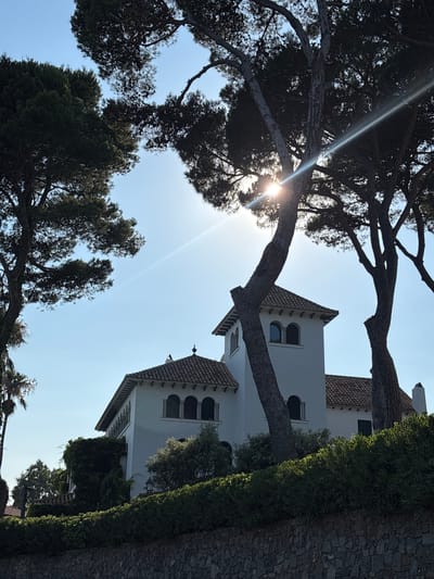 This is a photograph of a white, Mediterranean-style house with a terracotta tile roof, situated in Llafranc, Spain. The house features arched windows and a prominent tower. The building is partially obscured by the branches of mature pine trees in the foreground. The sun is shining brightly, creating lens flare and casting a bright glare across the scene, particularly through the tree canopy. Lush green bushes and a stone wall are visible in front of the house, further defining the landscape. The sky is clear and blue, suggesting a sunny day.