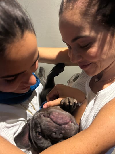 Two women are holding a small, grey and black French bulldog puppy. The puppy is lying on its back, its paws in the air. One woman, with dark hair, is wearing a white shirt and a blue scarf around her neck. She is looking at the puppy and smiling. The other woman, with long brown hair, is wearing a white ribbed tank top and is smiling at the puppy. The women are seated on what appears to be a couch or a bed. The background is a white wall. The location is Río Oro, Costa Rica, a suburb of San José, located at latitude 9.945 and longitude -84.201.