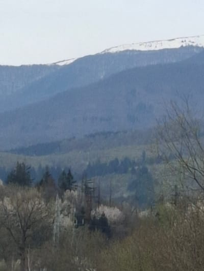 The image shows a landscape with a large mountain range on the left, partially obscured by overcast skies. The right side of the image contains trees, shrubs, and what appears to be residential structures. There are also power lines and utility poles visible. The scene suggests a rural or suburban location, possibly near the city of Mezdreya in Bulgaria, due to the type of landscape. No people, subjects, objects, actions, or interactions are observed.