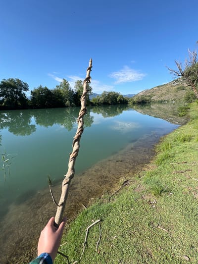 The image depicts a first-person perspective scene at Cerovi Pod, Montenegro, on a clear, bright day. The foreground shows a human hand, light-skinned, wearing a blue and green plaid cuff, holding a gnarled, light-brown wooden stick. This stick, approximately 5-6 cm in diameter, features a prominent vine or branch spirally wrapped around its length, extending diagonally from the lower left towards the upper center of the frame. The immediate ground level is a vibrant green grassy bank, sloping gently into a calm body of water, likely a river, that occupies the midground.

The river water is a clear turquoise-green, reflecting the bright blue sky and the surrounding treeline. The shallow areas near the bank reveal a sandy or muddy bottom with visible submerged roots and detritus. A few thin green reeds protrude from the water near the left edge.

Beyond the river, a dense line of lush green deciduous trees forms the opposite bank on the left side of the frame. To the right, a rocky, scrub-covered hill or low mountain rises, displaying scattered green vegetation and some bare branches of a dry tree extending from the far right edge. The distant horizon reveals faint outlines of additional mountains. The sky above is a uniform bright blue with sparse, wispy white clouds, primarily on the right, and a faint crescent moon visible in the upper right quadrant. A small dark speck, possibly a bird, is present in the upper-mid sky. The scene is illuminated by bright daylight, casting minor shadows.