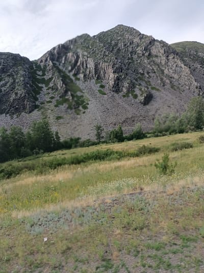 The image captures a mountainous landscape, likely in the vicinity of Şūbarqaiyñ, Kazakhstan. The foreground is dominated by a grassy field with patches of dry grass and scattered small white flowers. A dense line of green trees runs across the midground, with the lower slopes of a large, rocky mountain rising behind them. The mountain itself is covered in scree and appears rugged, with some sparse vegetation clinging to its sides. The sky above is overcast with a light gray hue. There are no people or animals visible in the frame. The overall scene suggests a natural, undeveloped environment.