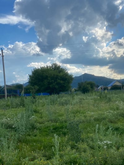 This is a vertical, full-shot photograph of a rural landscape in Maloarslangulovo, Russia. The scene is dominated by lush green vegetation on the left, with tall grass and some wildflowers. To the right, a large, leafy tree stands prominently, with a mountain range visible in the background. Several houses with blue and yellow roofs are nestled among the trees. A power pole with overhead wires runs vertically through the right side of the frame, cutting across a dramatic sky filled with large, fluffy clouds. The sunlight breaking through the clouds suggests it is daytime, possibly late afternoon. The overall impression is one of a serene, natural setting with signs of human habitation. There is no visible text in the image.