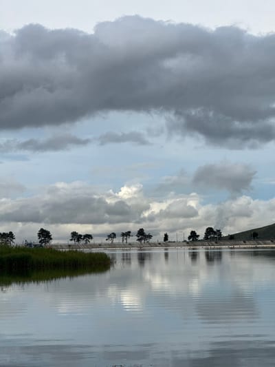 The image depicts a body of water, likely a reservoir or lake, under a cloudy sky. The water's surface is calm, reflecting the sky and the line of trees along the distant shore. These trees are dark green and appear to be evergreen, spaced out along a raised embankment. Behind the trees, a road or pathway is visible, with a few poles or streetlights. The embankment itself seems to be a man-made structure, possibly a levee or dam, with a sloped, grassy hillside rising behind it on the right side of the frame. On the far left, a patch of tall, green reeds grows by the water's edge, also casting a reflection. The sky is filled with a variety of clouds, ranging from dark, heavy masses to lighter, wispy formations. The overall mood is somewhat somber due to the overcast conditions. The location is identified as the city of Ust-Dzheguta, Russia. No people or discernible actions are present in the image.