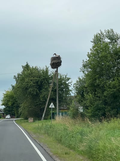 A road curves to the left, bordered by green grass and trees. A wooden pole with a stork's nest on top stands in the grass. Two storks are visible in the nest. A white car is parked on the side of the road in the distance. A white triangular sign with a black arrow indicating a curve is posted on a pole near the stork's nest. The sky is overcast. The scene appears to be in a rural area of Багушэвіцкі сельскі Савет, Belarus.