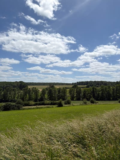 The image displays a sunlit rural landscape, identified as being in the city of Olingen, Luxembourg. The upper half of the frame is dominated by a clear blue sky interspersed with numerous white, irregularly shaped cumulus and wispy cirrus clouds. A faint sunbeam is visible in the upper right quadrant, emanating from beyond the frame. The lower half of the image features a foreground strip of tall, dry, light-colored grasses and seed heads, which appears to be gently swaying, suggesting light wind. Behind this, a vibrant green field of shorter grass extends horizontally. Further back, a dense, dark green line of deciduous trees forms a prominent middle ground. Beyond this treeline, the landscape recedes into a mosaic of lighter green fields and patches of cultivated land, some appearing brownish, punctuated by additional distant woodlands. No human figures, animals, or artificial structures are visible within the frame. The overall impression is one of a vast, natural, agricultural vista under bright daylight conditions.