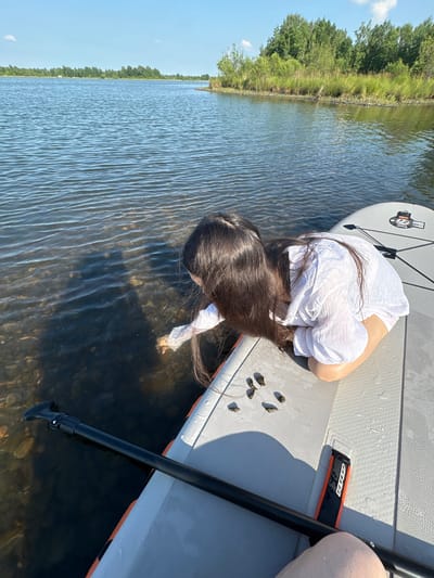In the city of Razdolnoe, Russia, on a sunny day, a young woman with long dark hair, wearing a white see-through shirt, kneels on a paddleboard at the edge of a lake. She is reaching into the shallow, clear water, where small pebbles and aquatic life are visible. A paddle rests on the paddleboard beside her. The background shows a tree-lined shore under a blue sky with a few clouds.