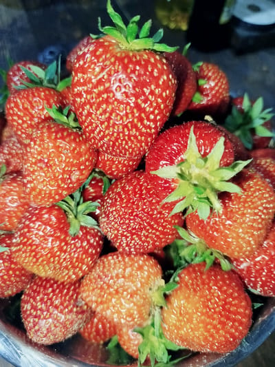 A close-up, overhead shot showcases a bowl overflowing with ripe, red strawberries. The strawberries are plump and textured with visible seeds, and some have green leafy tops. The lighting is somewhat dim, creating a moody atmosphere, and the background is out of focus, with hints of dark surfaces and possibly some blurry objects in the distance. The overall impression is one of abundance and freshness. The specific location within Баравухскі сельскі Савет, Belarus, cannot be determined from the visual information provided.