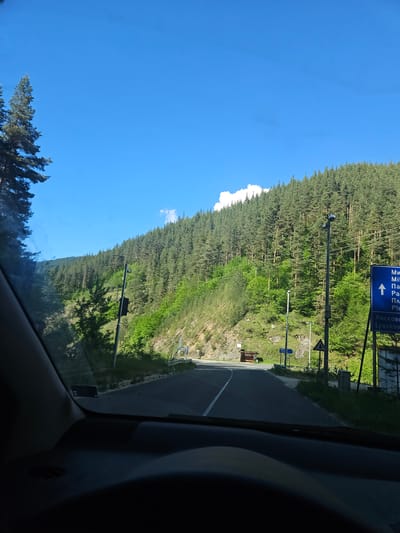 The image shows a view from inside a vehicle traveling on a road adjacent to a dense forest. The sky is blue with a few clouds. A road sign is visible indicating directions to nearby locations, including Liaskovo. The road appears to be paved and marked with a white center line. The image orientation is slightly tilted.