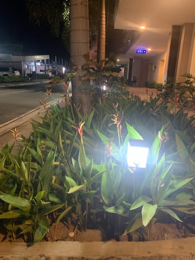 This is a nighttime, eye-level, medium shot of a tropical plant bed in front of a building. The plants are lush and green with red and yellow flowers. A solar-powered light illuminates the plants. In the background, there is a sidewalk, a street, and a building with a sign indicating restrooms. The image appears to have been taken in Angeles City, Philippines, given the tropical vegetation and the presence of a sign for restrooms. There is one person visible, sitting on a chair near the building.