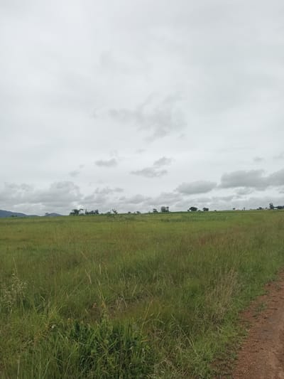 The image depicts a wide, grassy field under a cloudy sky. In the foreground, tall grass and weeds are visible, with a dirt path running along the right edge of the frame. In the middle ground, the field continues, dotted with scattered trees and some distant structures that suggest a settlement or buildings. In the background, a range of low hills or mountains can be seen on the left horizon. The overall impression is of a rural landscape with a muted, overcast atmosphere, consistent with the weather conditions. The location is identified as North Ropp, Nigeria.