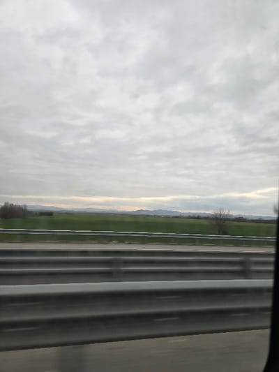 The image displays an exterior view of a landscape in Plodovitovo, Bulgaria, captured from a moving vehicle. The upper two-thirds of the frame are occupied by an overcast sky, characterized by uniform light grey cloud cover indicative of stratocumulus formations. Below the horizon, a broad expanse of vibrant green fields extends across the mid-distance. A distant, dark blue-grey mountain range is discernible against the horizon line, partially obscured by atmospheric haze. Clusters of deciduous trees, currently bare of foliage, are visible in the left portion of the fields, with a single, isolated bare tree positioned further right. A multi-lane highway or expressway runs horizontally across the lower third of the image, separated from the fields by a double-layered metal crash barrier system, which consists of multiple parallel horizontal steel rails. Significant motion blur is evident on the crash barriers and the dark asphalt road surface, confirming the photograph was taken from a vehicle in transit. The dark interior frame of a vehicle window is partially visible along the bottom-left and bottom-right edges of the image. No human figures or explicit interactions are depicted within the scene.
